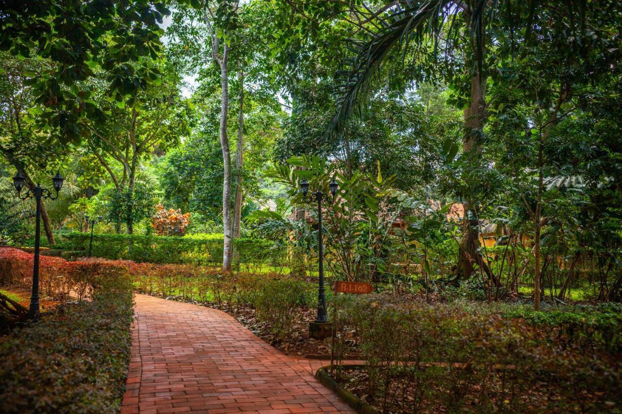 Brovad Sands Lodge Kalangala Exteriér fotografie